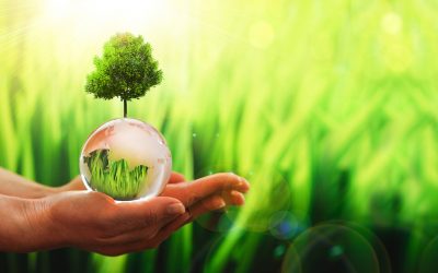 Six actions you can take right now to reduce your energy bills