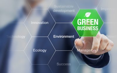 Four Benefits of a Professional Energy Audit for Your Business
