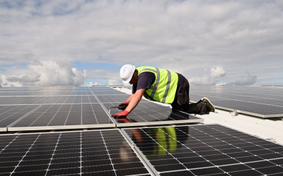 From Survey to Switch On: Inside a Commercial Solar Installation Project  